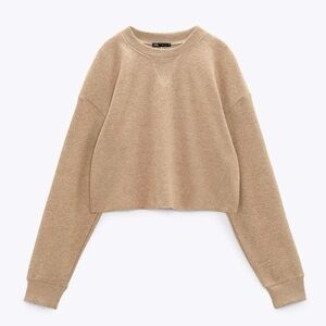 ZARA SOFT KNIT CROPPED TOP!  WORN 1X!